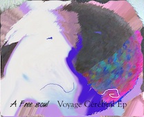 Voyage Cérébral EP - A Free Soul - MRM